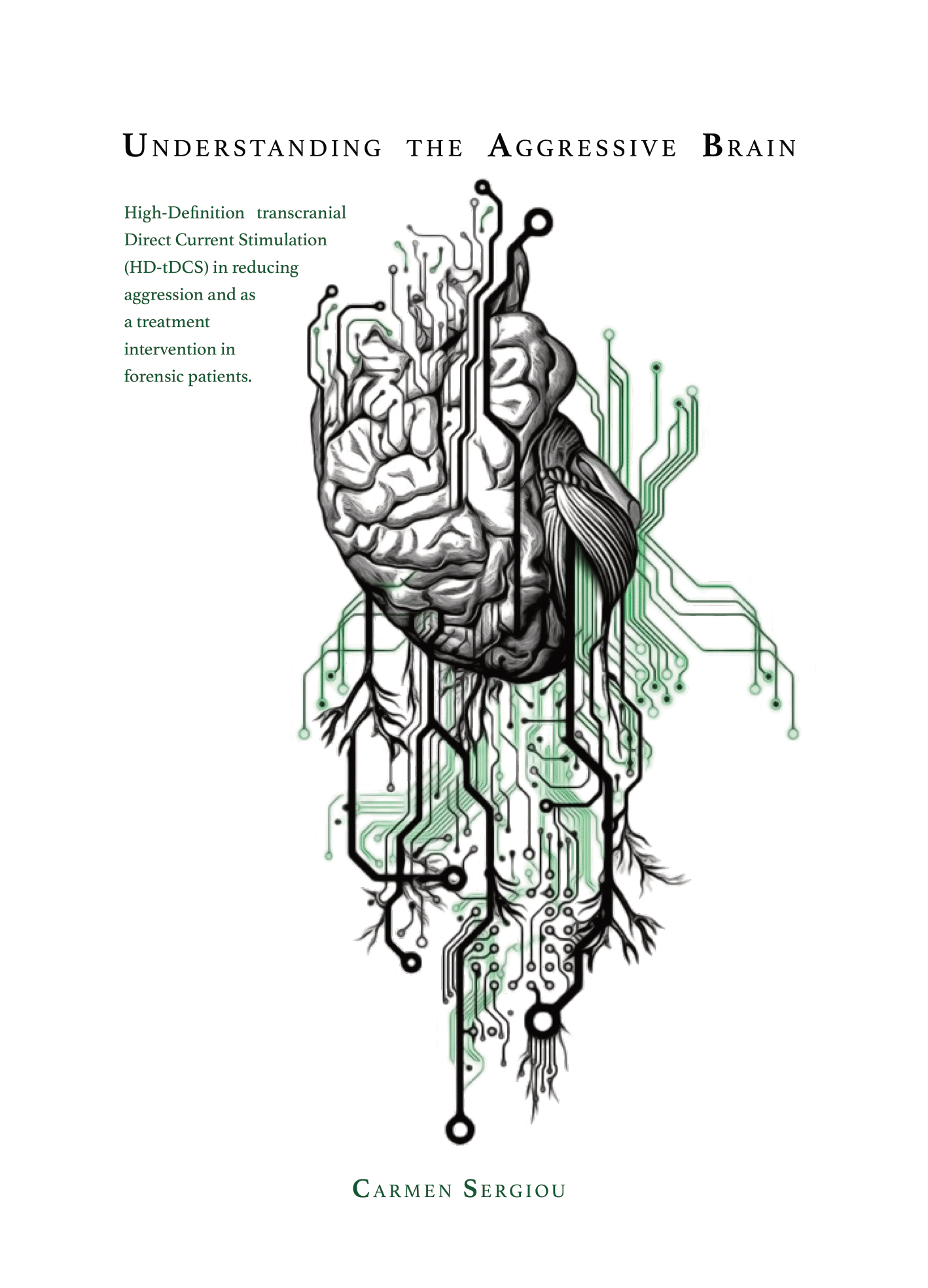 Understanding the Aggressive Brain: High-Definition transcranial Direct Current Stimulation in reducing aggression and as a treatment intervention in forensic patients. door Carmen Sergiou