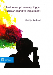 Lesion-symptom mapping in vascular cognitive impairment door Biesbroek, J.M.